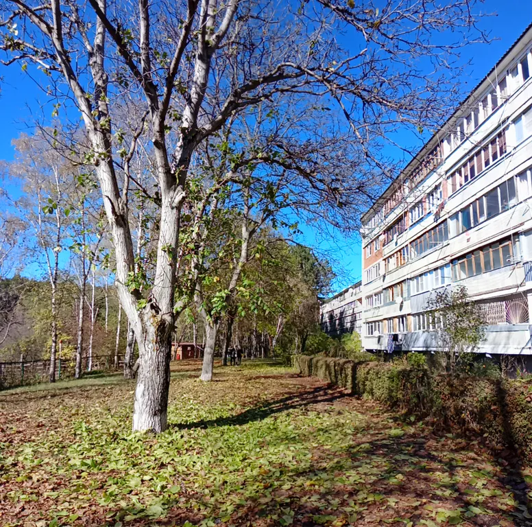 Квартира над березовским ущельем