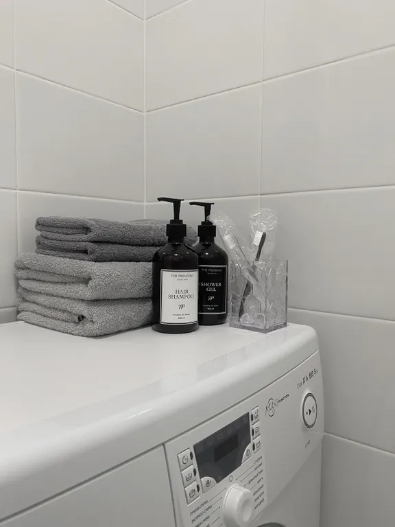 Уютная квартира с подвесным креслом