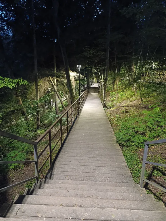 Квартира Квартира Уютная студия 33 м. Кв. С 2 кроватями, у моря с видом на лес — Светлогорск