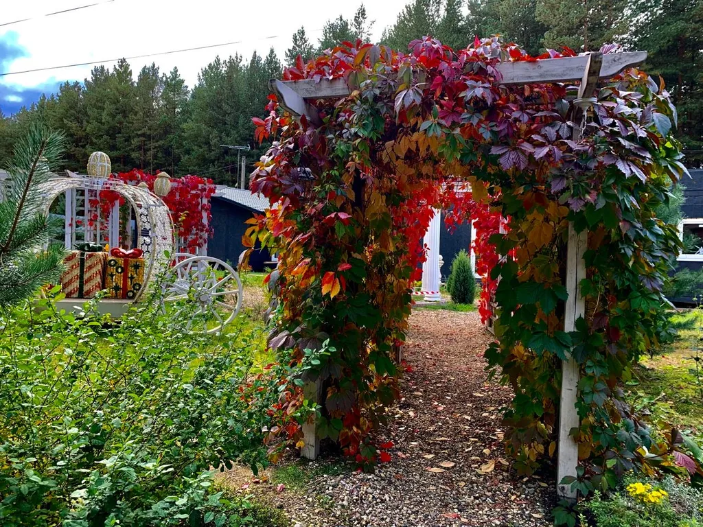 Шале в гости к мишкам с сосновом бору