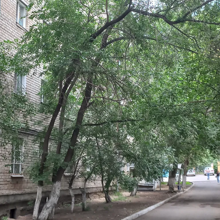 Квартира "Райская птичка" в центре