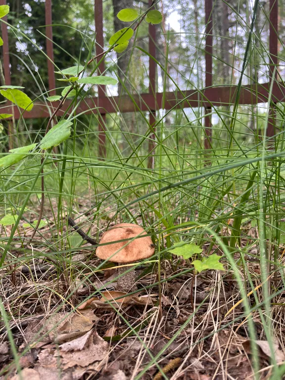 Домик недалеко от города
