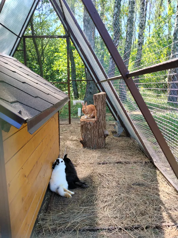 Уютный домик в лесу у пруда