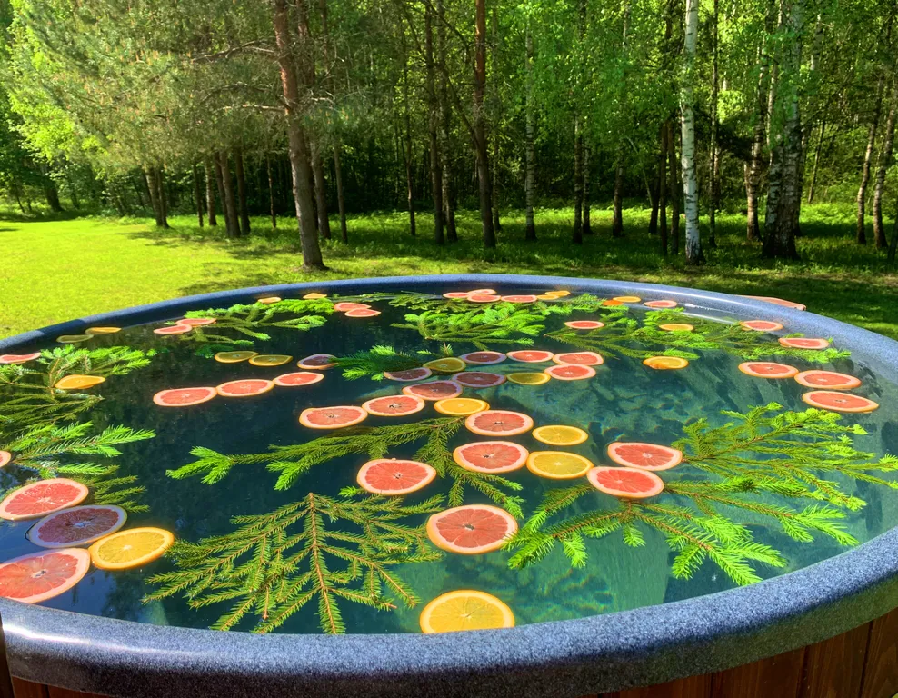 Дом с русской баней и горячей купелью