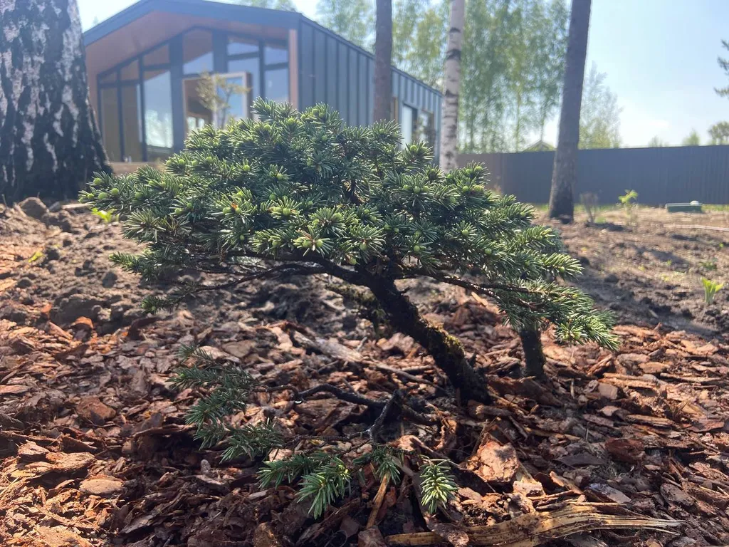 Уютный дом для семейного отдыха с детской площадкой