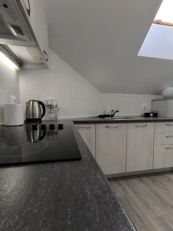 Velvet Aparts Семейные у Замка