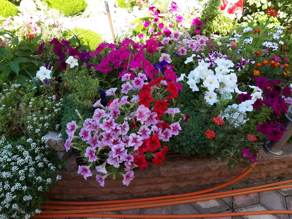 Уютные апартаменты