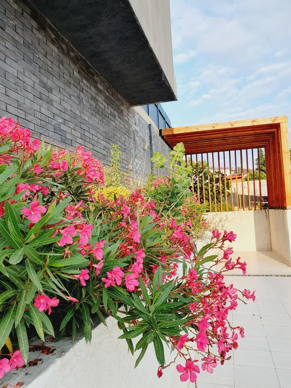 Апартамент с бассейном и видом на море