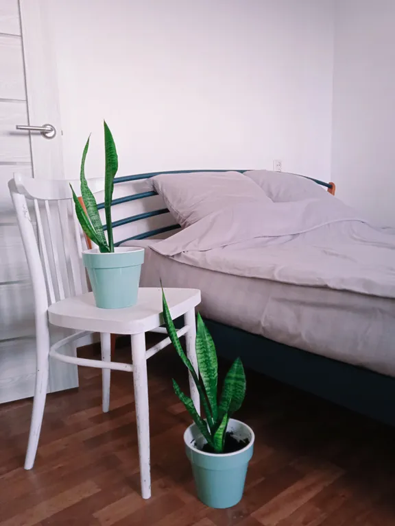 Квартира Квартира Бриз — Ярославль