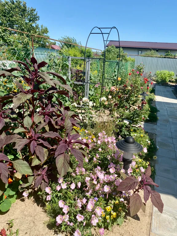 Дом на Энгельса 15