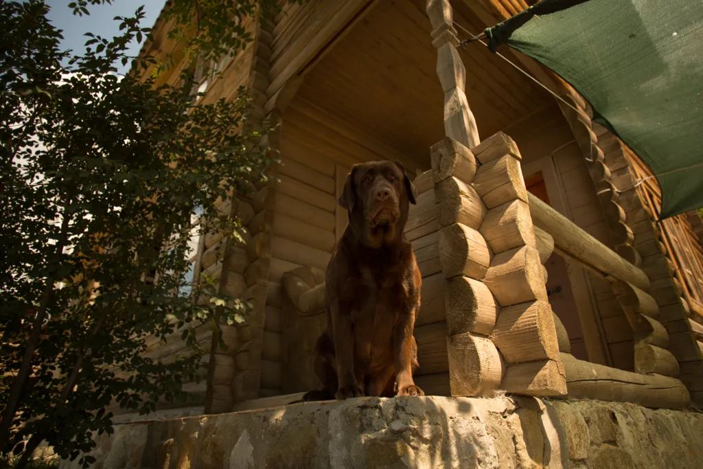 В доме на берегу моря отдельный этаж,  30 метров от моря