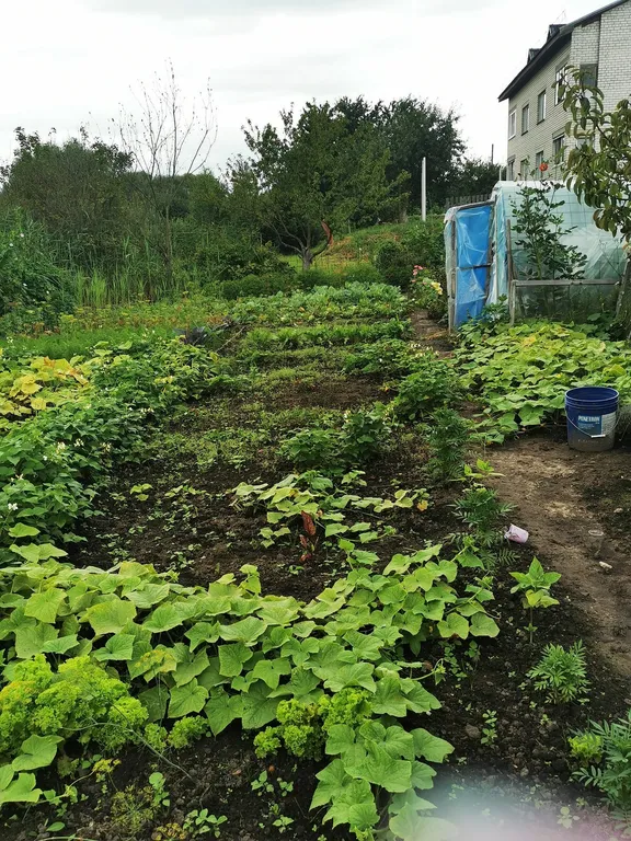 Уютная квартира в городе-спутнике столицы