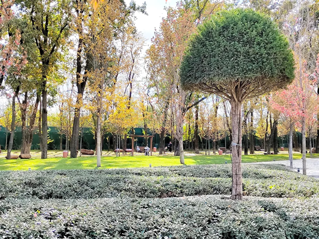 Квартира Уютная квартира рядом с парком Галицкого — Краснодар