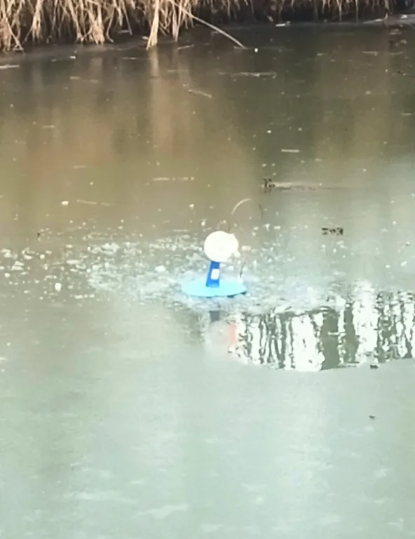 Остров Аннушки - уютные домики у реки