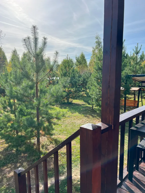 Стильный барн в соснах