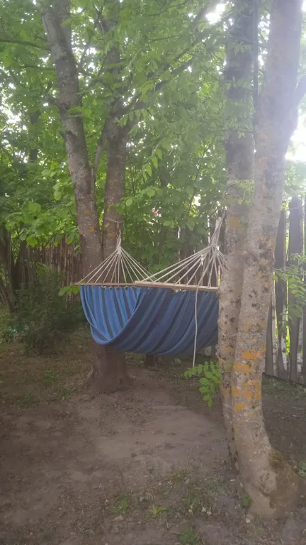 Коттедж с баней и горячей купелью