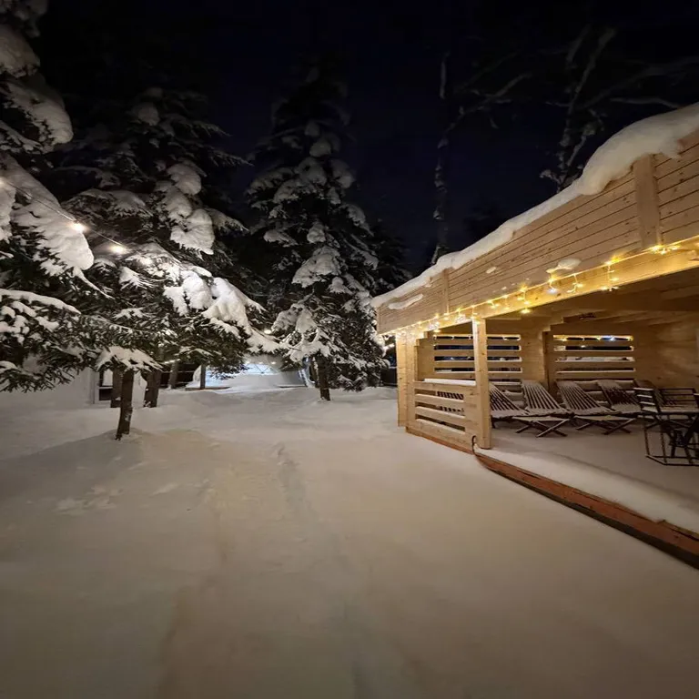 Дом-купольный в сосновом лесу для двоих
