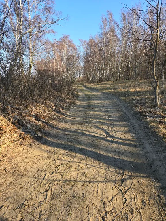 Изумительные 3-комнатные апартаменты с собственным участком земли