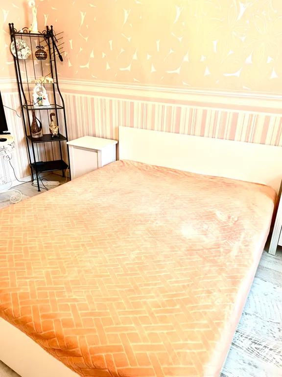 1-комнатная Квартира в центре на Тимирязева