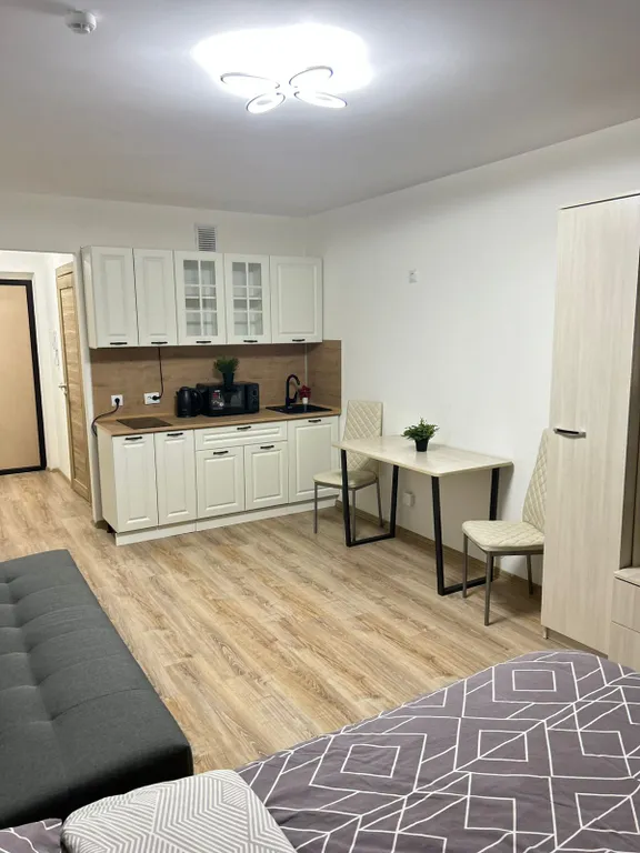 Апартаменты DreamHouse у Аэропорта