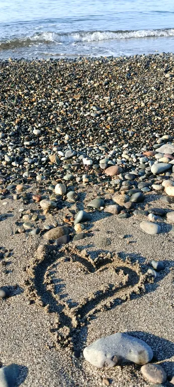 Двухкомнатные апартаменты на берегу моря