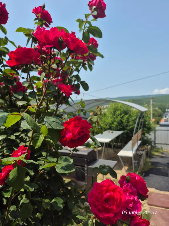 Комфортный номер со всеми удобствами в тихом месте