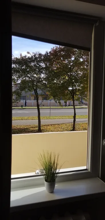 Уютные апартаменты в центре города