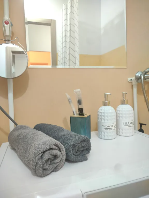 1-комнатная квартира в центре города рядом с парком