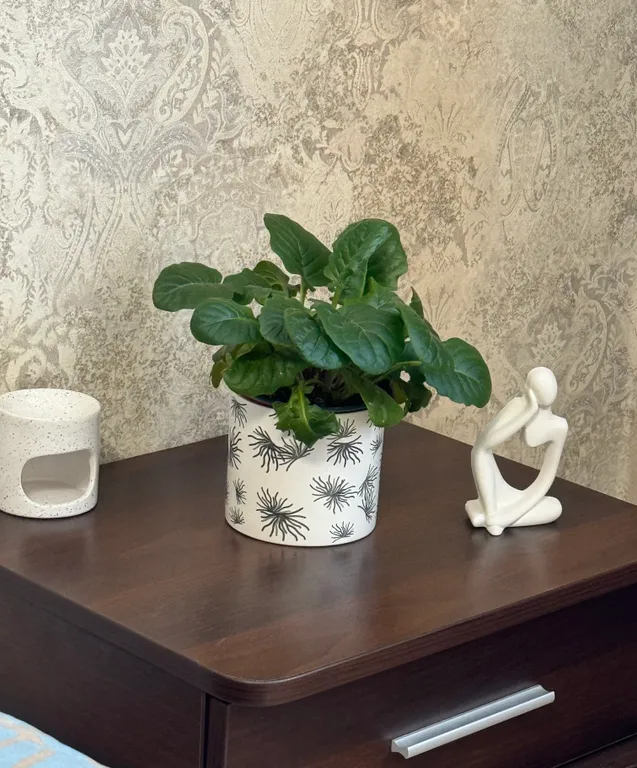 Апартаменты с видом на город