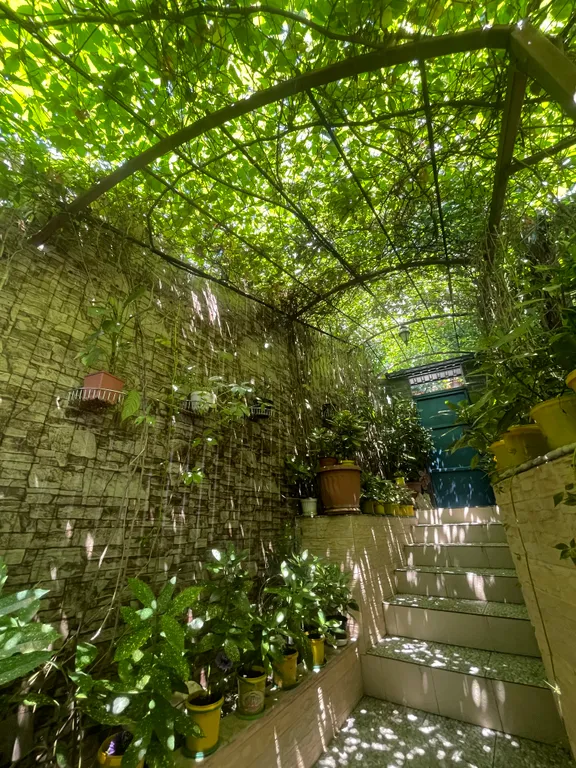 Апартаменты с видом на море и на гору Ай-Петри