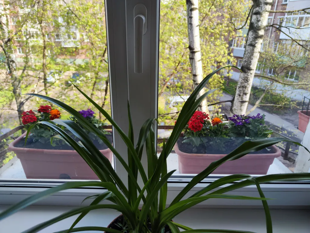 Уютная квартира рядом с центром города и вокзалом Ярославль-Главный