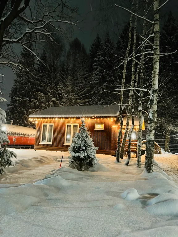 Домик у леса