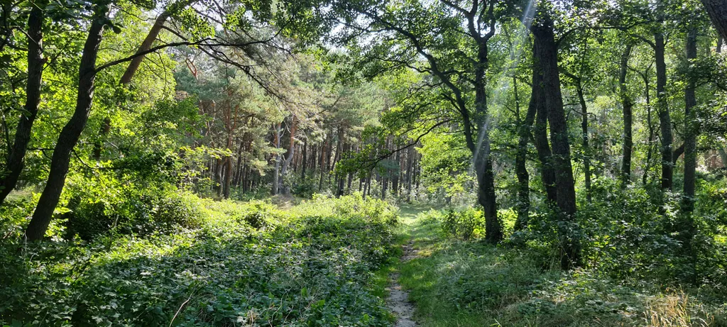 Уютный дом для нескучного отдыха на море