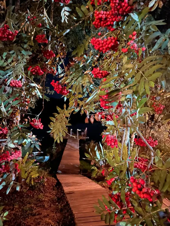 Коттедж Домик на тихом озере — Авдетово