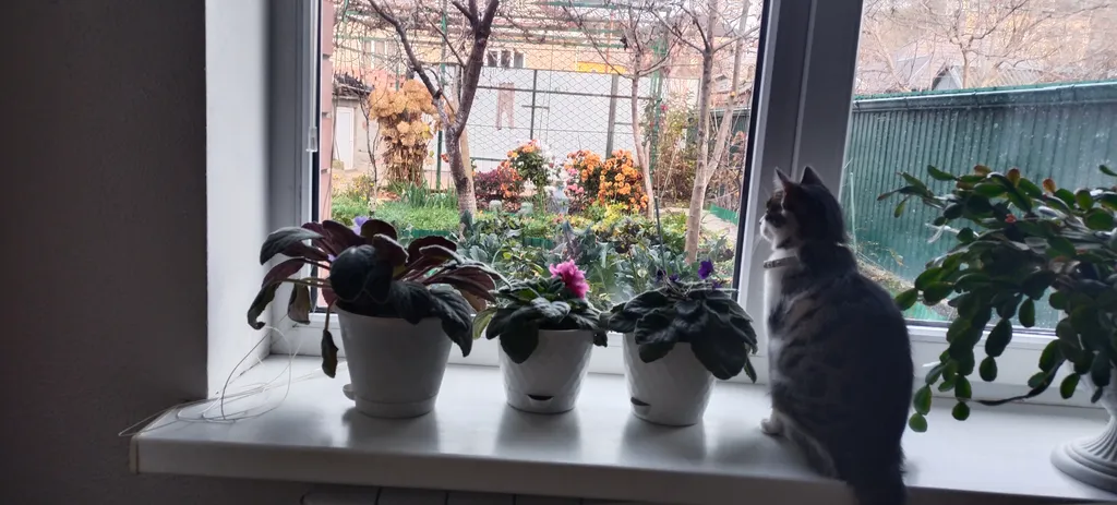 Комната 18м2 в уютном частном доме, парковка, рядом Березовское ущелье