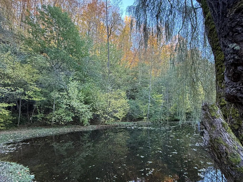 Уютная жилая комната на двоих в деревянном таунхаусе
