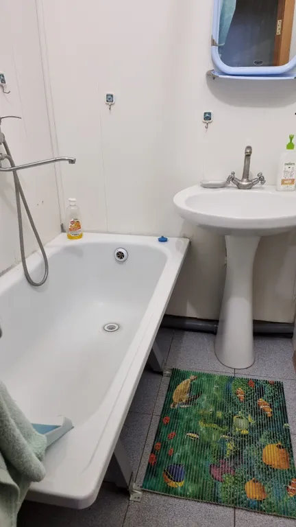 Большая двушка напротив ТРК МегаГринн