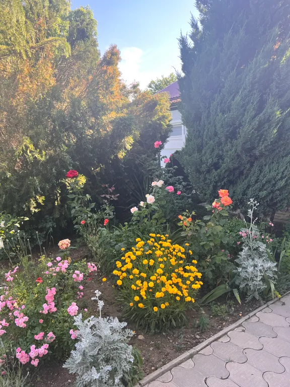 С бассейном рядом с морем