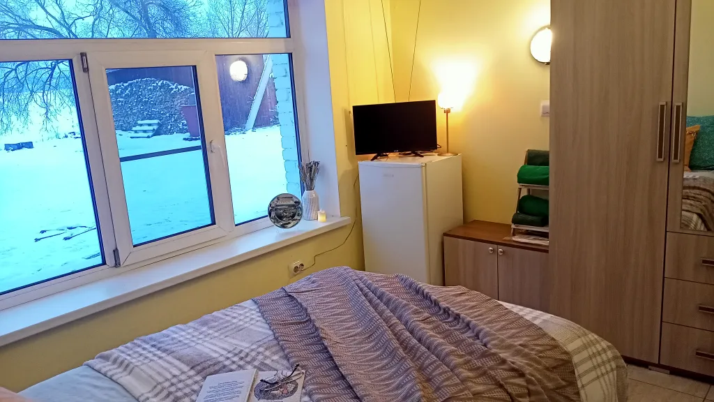 С видом на берег озера с лебедями, в историческом центре, с 1 кроватью