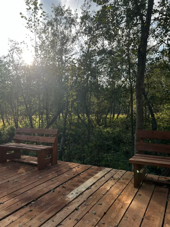 Зелёный домик в лесу на живописной улице