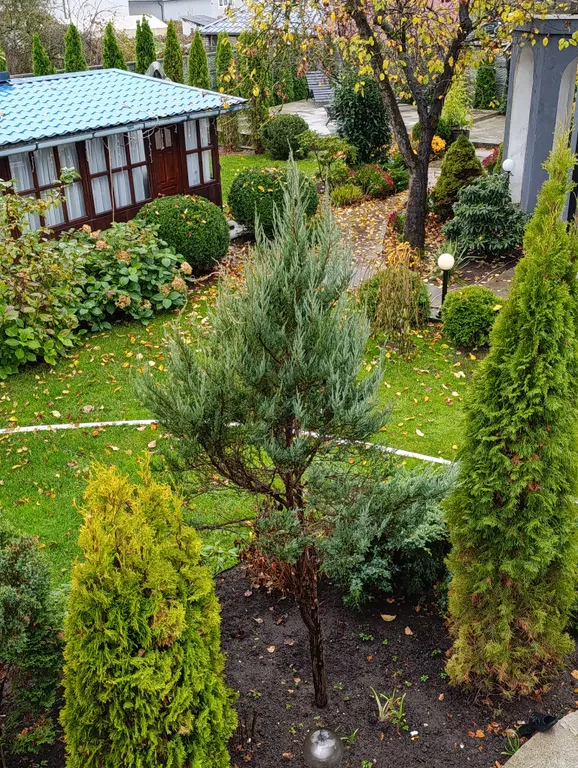 Гостевой дом с бассейном и баней на дровах