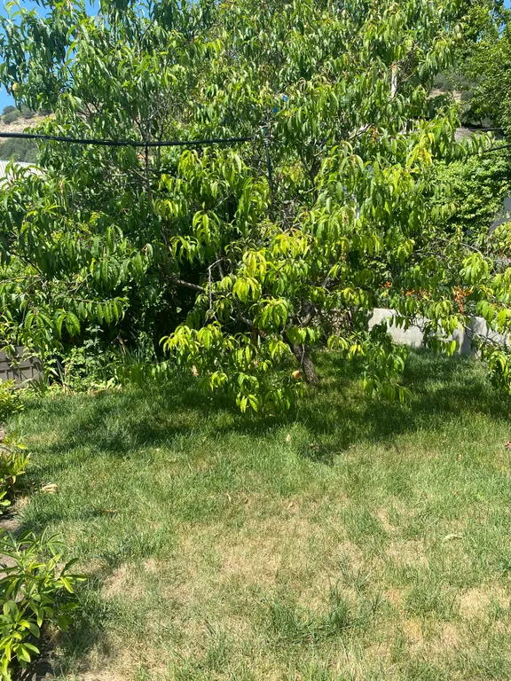 Коттедж Дом с камином в экопоселке у подножья гор — Инкерман