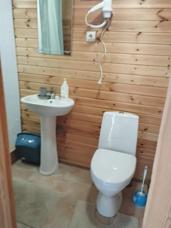 Дом с мансардой