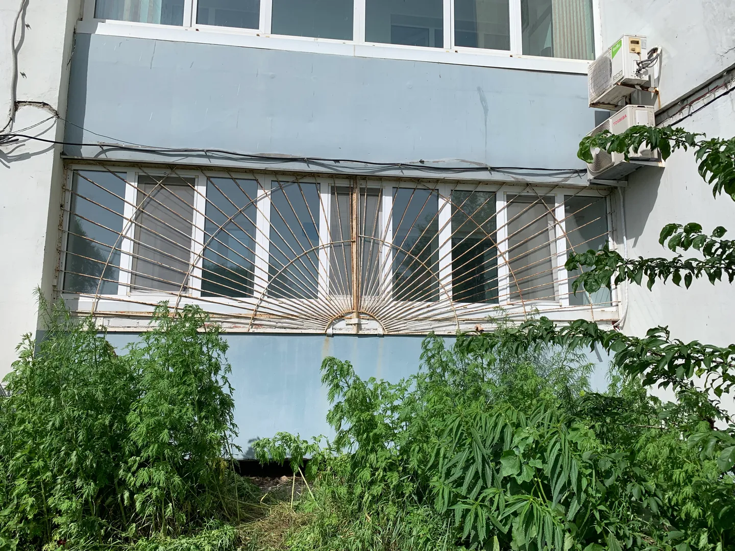 Вид на квартиру в солнечный день
