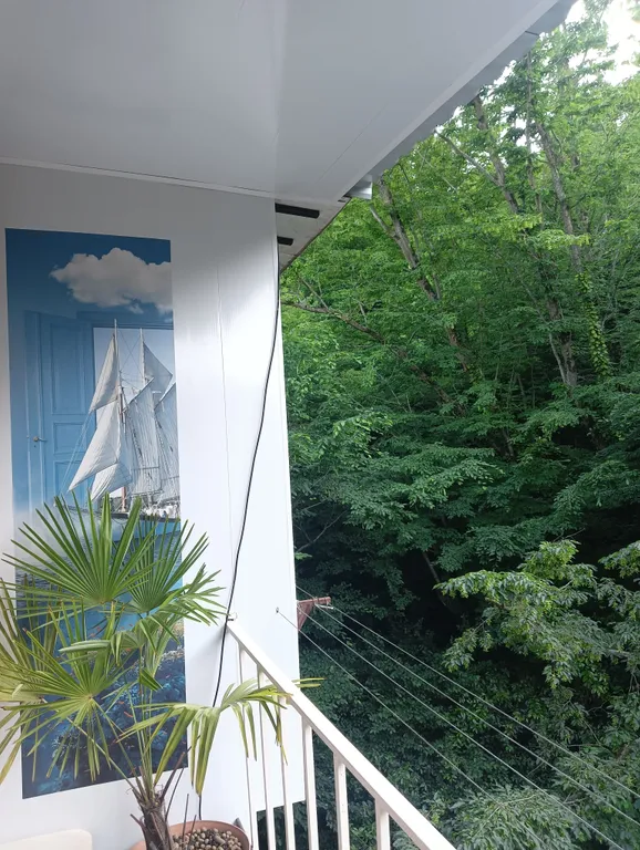 Терем с мансардой в дивном лесу у моря, с новым ремонтом и обстановкой