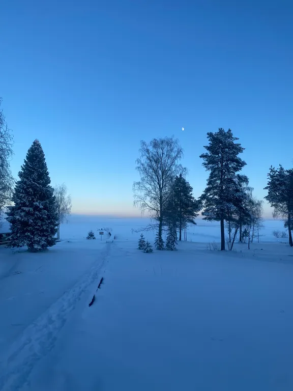 Коттедж в Карелии с сауной и видом на озеро