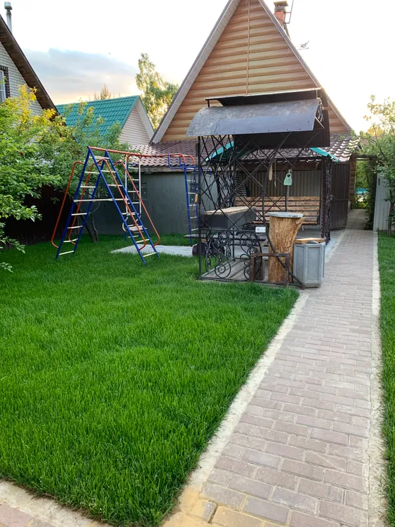 Дом в окружении леса