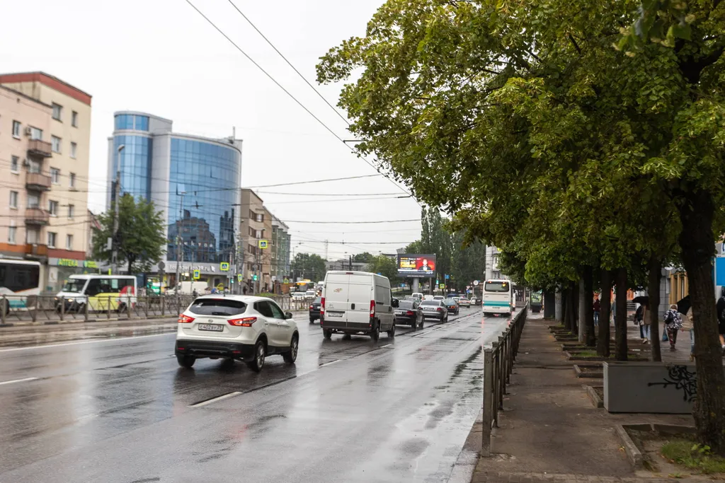Квартира Апартаменты с видом на проспект — Калининград