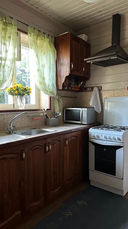 Коттедж Уютный дом в сердце ленинградского леса с баней на дровах — Приозерск