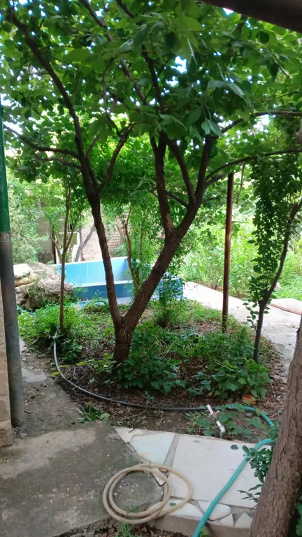 Студия в гостевом доме Каспий, близ смотровой площадки